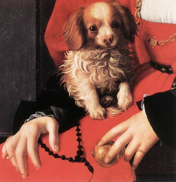 Bronzino Portrait of a Lady with a Puppy detail